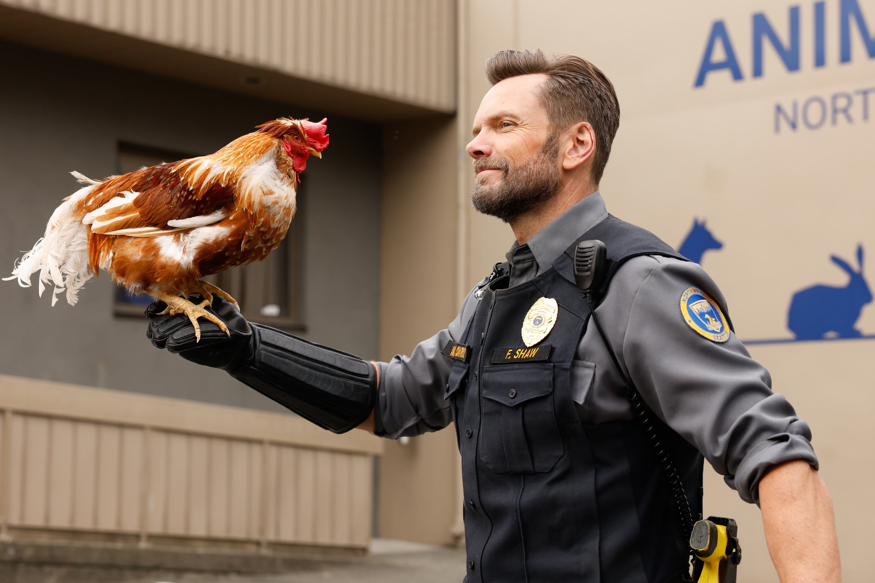 Animal Control Season 5: Release date, timeslot and Joel McHale's abs