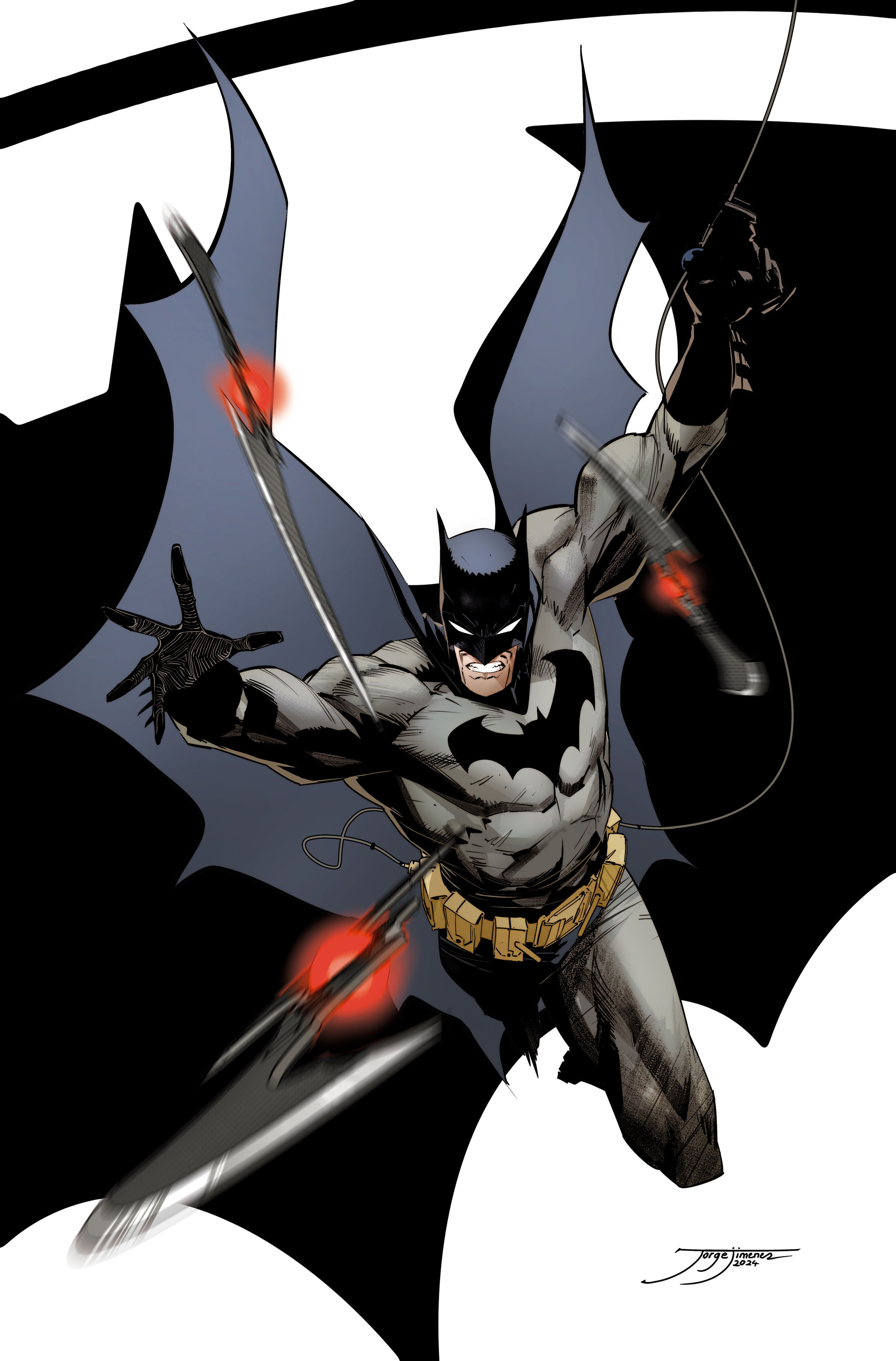 il giovane compagno di batman