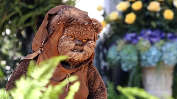 creepy-ewok-a4mhxcostjtfzcoggfdly5pw3m.webp