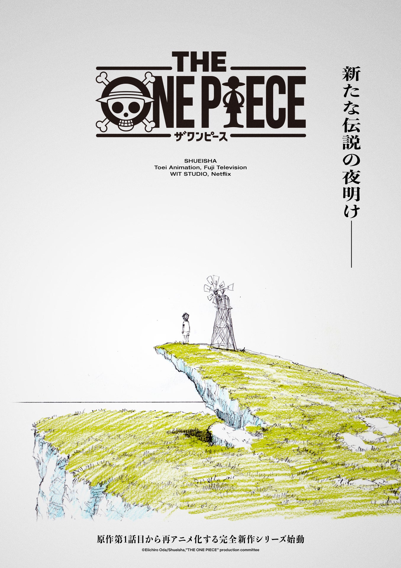 New One Piece anime coming to Netflix | Popverse