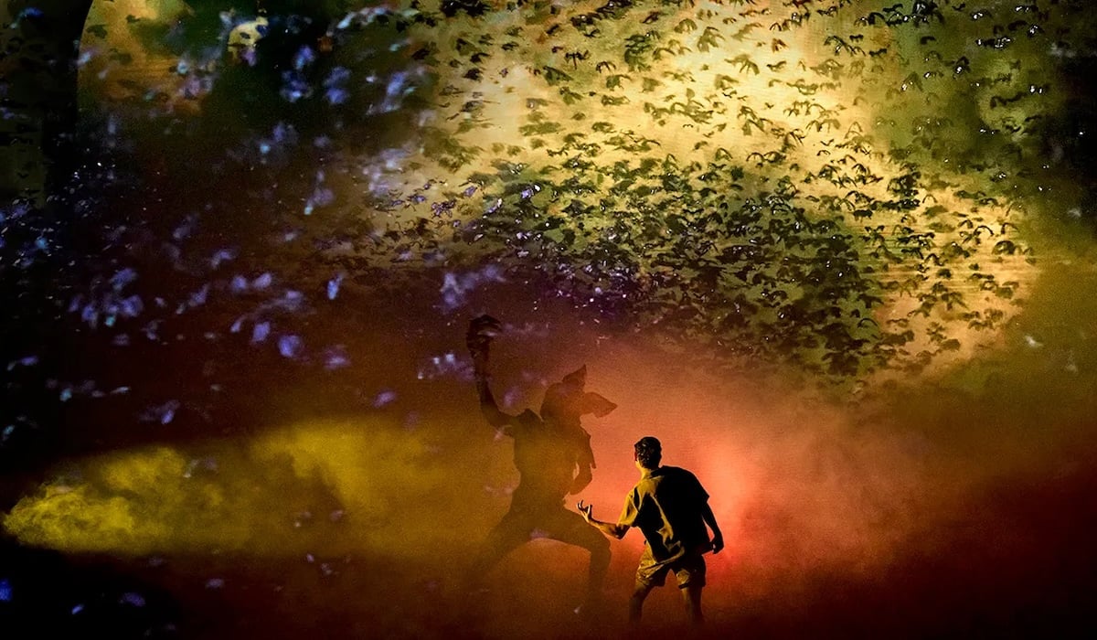 Stranger Things to end one more time as stage show The First Shadow closes in UK and US this holiday season