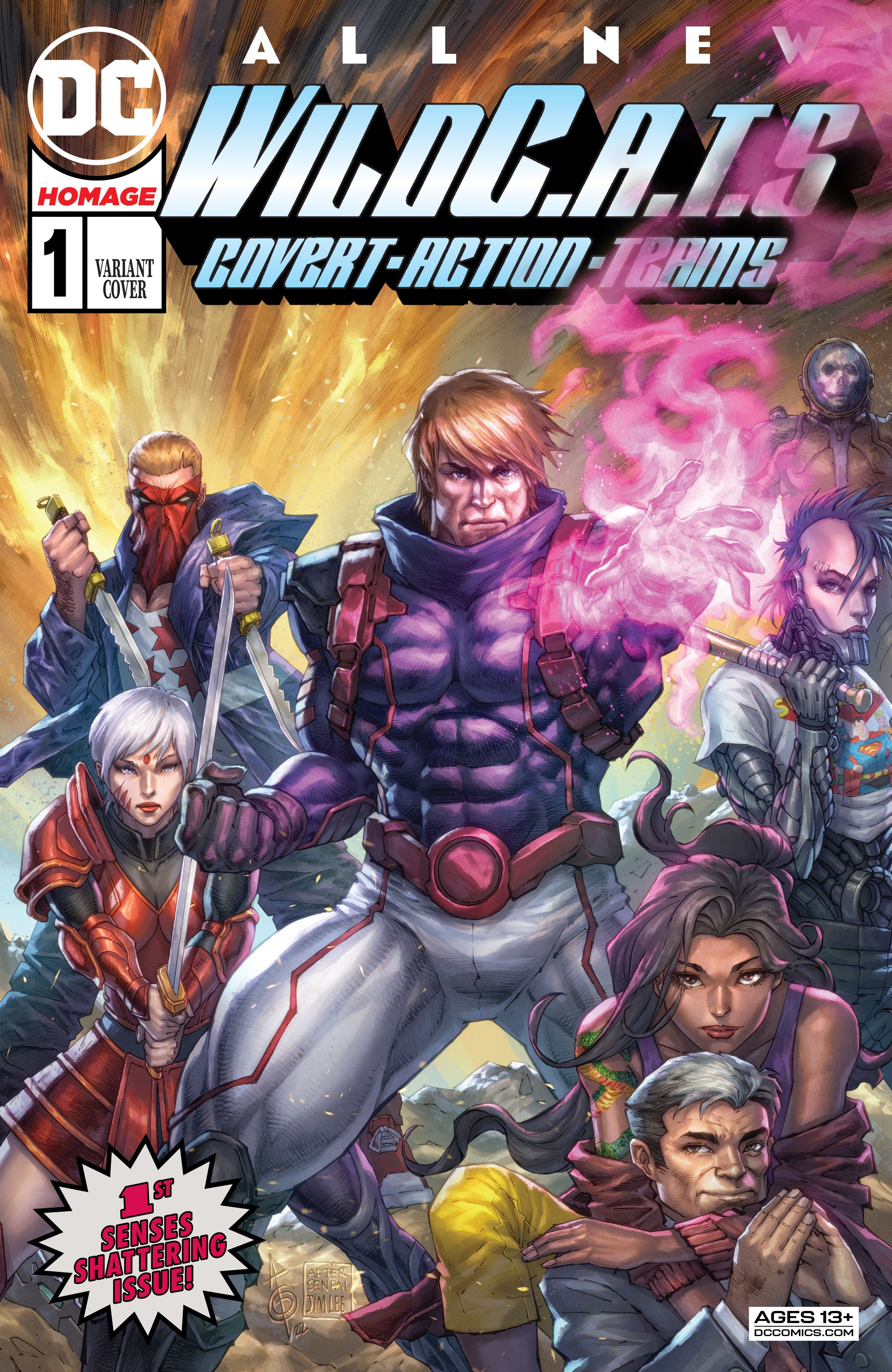 WildC.A.T.s Voodoo & Zealot & VOID セット From The Beginning